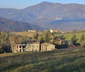 home-bosco2