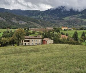 home-bosco5