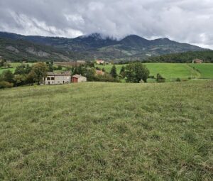 home-bosco6
